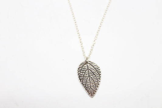 Small Silver Sage Leaf