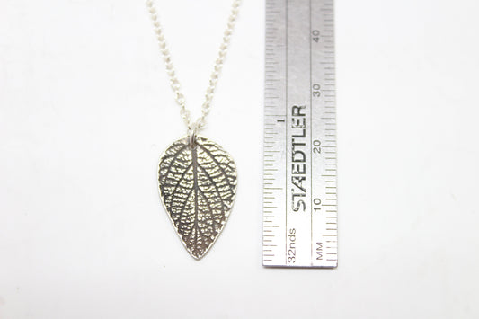 Small Silver Sage Leaf